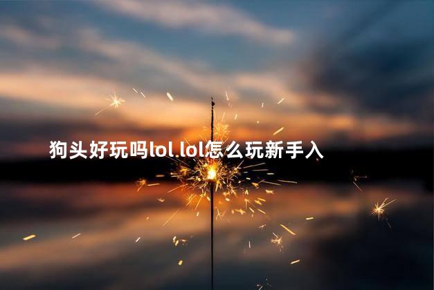 狗头好玩吗lol lol怎么玩新手入门